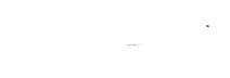 puma77